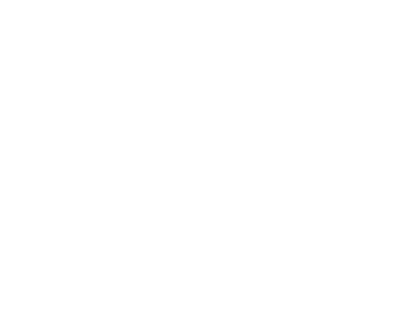 Rimba Collective